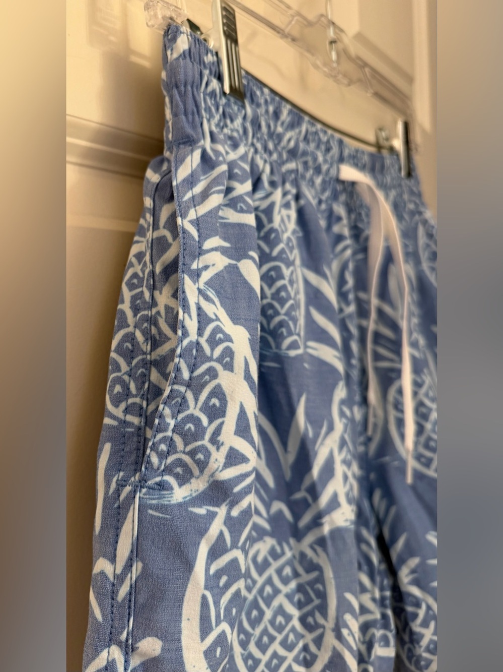 Chubbies Men's Classic 5.5" Swim Trunks in Blue Pineapple Print, Small - Picture 5 of 12